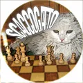 VI Trofeo Magnascacchi - Scaccogatto, 22 novembre 2014 - bando